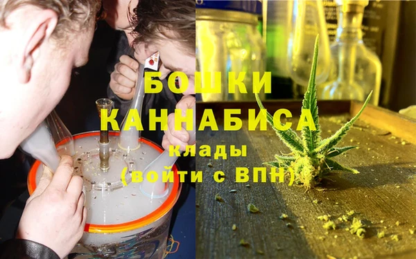 амф Новозыбков