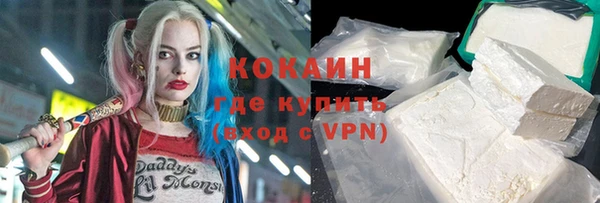 амф Новозыбков
