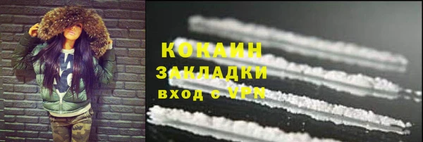 амф Новозыбков