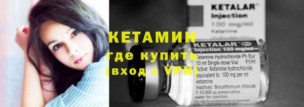 амф Новозыбков