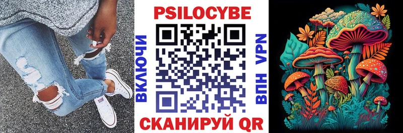 Галлюциногенные грибы Psilocybe Севск